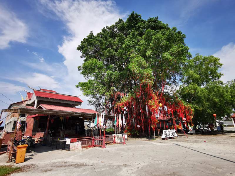 Wishing Tree Redang Beach Sekinchan