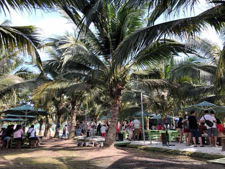 Sekinchan Coconut Farm
