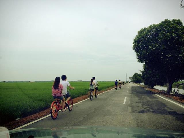 Cycling in the Sekinchan Paddy Field