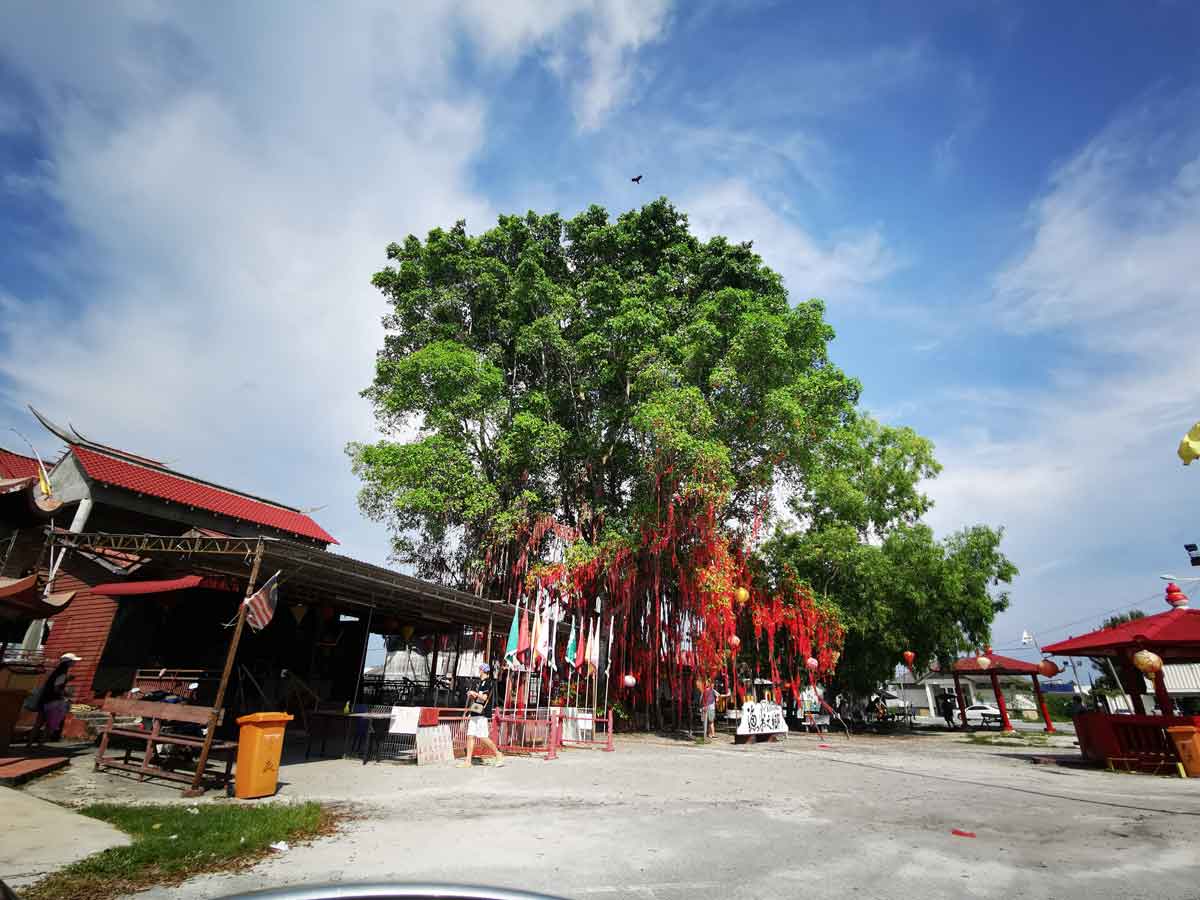 Wishing Tree at Redang Beach Sekinchan